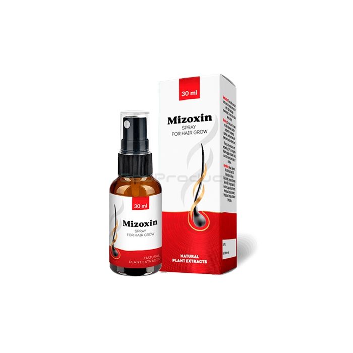 【 Mizoxin 】 【 produit de restauration capillaire 】